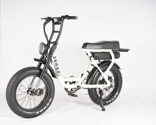 TERRA - Step Through